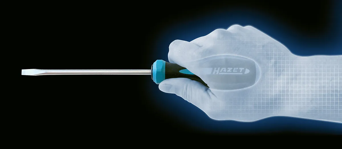 Skrutkovač HEXAnamic® HAZET 802-120