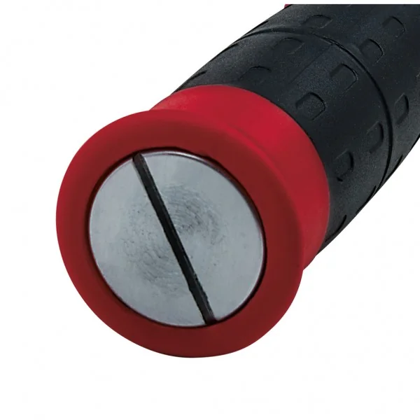 Račňový momentový kľúč s pevným nastavením, 15–55 Nm KS Tools 516.5003